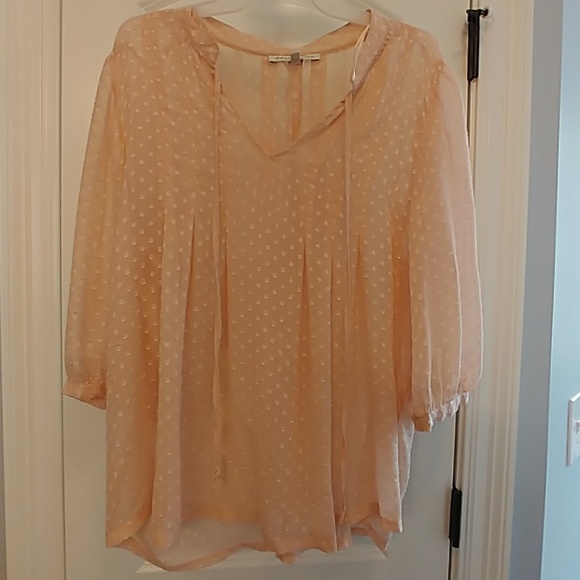 Shirt - Picture 2 of 4